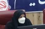 نرخ بیکاری زنان تحصیلکرده ایلام بالاتر از میانگین کشوری است