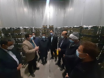 بازدید بازرس کل از کیفیت میوه های درحال تخلیه شب عید در ایلام