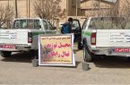 طی هفته منابع طبیعی؛ روزانه ۴٠ هزار اصله نهال رایگان در ایلام توزیع می شود