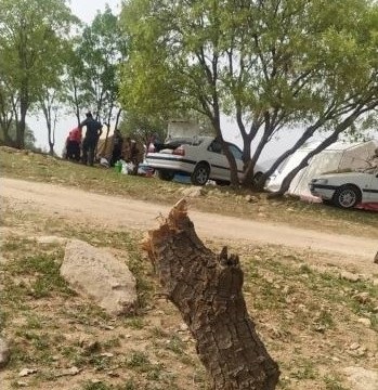 لشکرکشی های خسارت بار به طبیعت زاگرس و تراژدی قلع و قمع جنگلهای بلوط ایلام