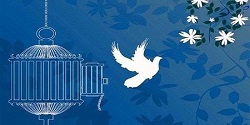 صلح و سازش در یک پرونده قتل در ایلام
