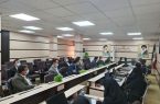 مشاور ایثارگران وزیر امور اقتصادی و دارایی در ایلام: تکریم از خانواده های ایثارگر وظایف دستگاه های اجرایی است.