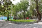 ۸۵ پارک محله ای در شهر ایلام ساماندهی شد