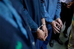 رئیس پلیس آگاهی خبر داد: کشف ۱۰ فقره انواع سرقت در ایلام