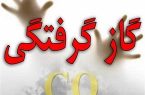 مسمومیت مادر و دختر به دلیل گازگرفتگی در شهرستان مهران