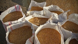 فرمانده انتظامی شهرستان خبر داد؛ کشف ۱۰ تن سبوس گندم قاچاق در دره شهر