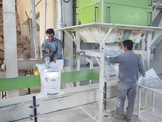 برابر دستور قضایی؛ تولید و توزیع آرد در کارخانه دهلران ممنوع شد