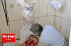 ۱۳۰۰ راس دام قربانی برای توزیع در بین نیازمندان ایلامی ذبح شد