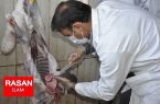 ۳۰ گشت دامپزشکی بر عرضه فرآورده های خام دامی ایلام نظارت می کنند