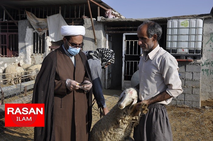 ساماندهی ۳۹ گروه نظارت بر ذبح شرعی احشام عید قربان در ایلام