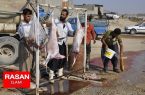 چراغ سبز قصابان غیر مجاز به شیوع ویروس کرونا/ دستگاهای اجرایی ذیربط دامپزشکی ایلام را همراهی کنند