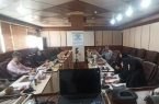 برنامه ریزی دامپزشکی برای پیشگیری از وقوع بیماری آنفلوانزای فوق حاد پرندگان در ایلام
