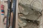 دستگیری متخلف شکار غیر مجاز در منطقه حفاظت شده کبیرکوه