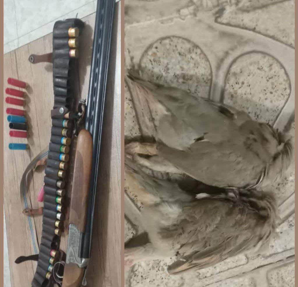 دستگیری متخلف شکار غیر مجاز در منطقه حفاظت شده کبیرکوه