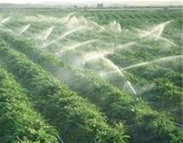 ۸٠ هزار هکتار از اراضی آبی تحت پوشش شرکت های تعاونی تولید قرار دارند