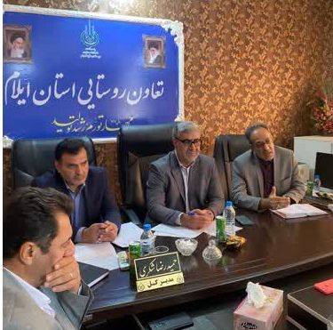 ۵۰ هزار هکتار از اراضی آبی ایلام مجهز به شبکه کانالهای مدرن آبیاری است