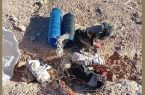 متخلف زنده گیری پرندگان شکاری در صالح آباد مهران دستگیر شد