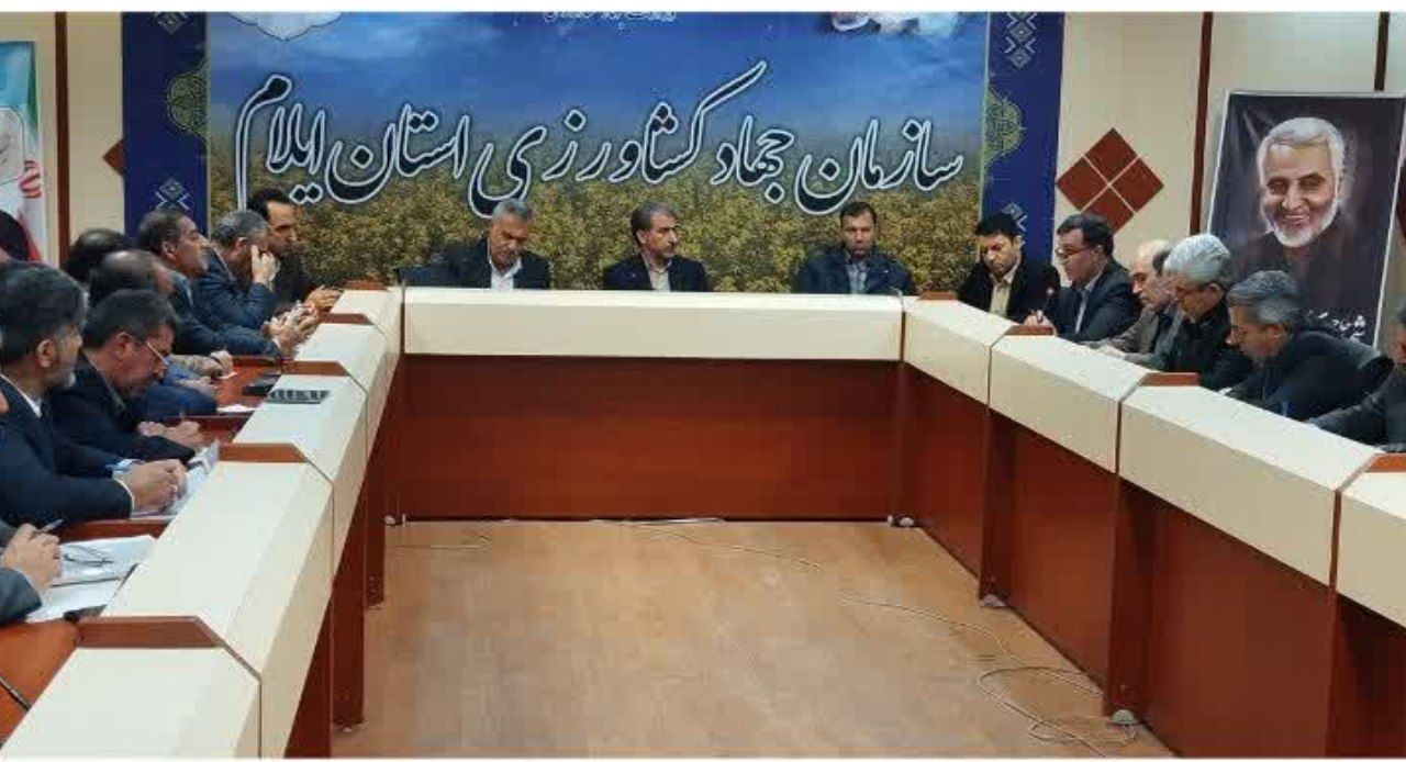 ۲۴ تن گوشت قرمز ایام رمضان در ایلام توزیع می شود