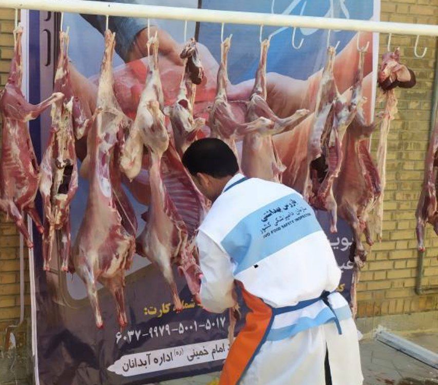 جمع آوری ۵۰۵ رأس دام سبک و سنگین قربانی اهدایی در ایلام