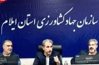 افتتاح ده بازارچه تنظیم بازار محصولات کشاورزی دهه فجر در ایلام