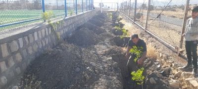 کاشت ۵۰ اصله نهال.به مناسبت هفته تربیت بدنی و ورزش در چوار