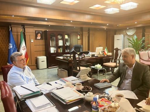 لزوم حمایت‌ وزارت بهداشت جهت تقویت زیرساخت‌های درمانی ایلام