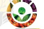 تاکید بر گسترش همکاری‌های علمی هسته‌ای برای توسعه کشاورزی ایلام