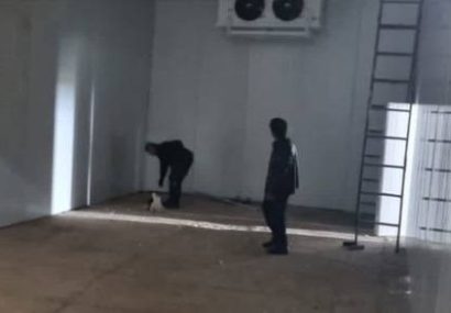 سردخانه ۲۰۰ تنی بالای صفر دهلران دهه فجر افتتاح می شود سردخانه ۲۰۰ تنی بالای صفر دهلران دهه فجر افتتاح می شود