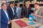پایش مستمر فروشگاه زنجیره ای و میوه فروشی های استان ایلام