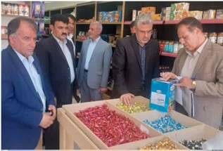 پایش مستمر فروشگاه زنجیره ای و میوه فروشی های استان ایلام