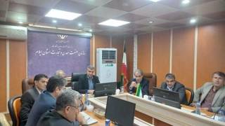 حضور موثر بازرسان در تثبیت قیمت ها نقش موثری دارد