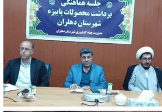 پیش بینی تحویل ۱۹۰ هزار تن گندم به سیلوهای دهلران
