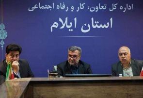 جذب ۵۲ درصدی اعتبارات مشاغل خرد و خانگی در ایلام