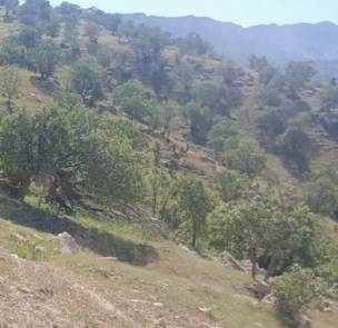 ۶۸۶۶ متر مربع از اراضی ملی شهرستان ایلام رفع تصرف شد