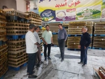 تسریع در روند اجرای طرح‌ها، تأمین تسهیلات و رفع موانع تولید در ایلام