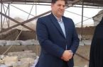 یافته‌های چغاگلان در سطح جهانی کم‌نظیر است