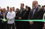 آسفالت ۱۳۵ هزار مترمربع از معابر روستایی ایلام طی یکسال گذشته