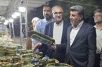 نمایشگاه پاییزه با ۸۰ غرفه در دهلران گشایش یافت