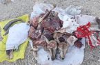 یک گروه شکارچی غیرمجاز در شهرستان مهران دستگیر شدند