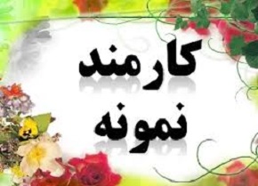 مرشدی، کارمند نمونه شرکت ملی گاز ایران شد