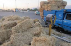 توقیف ۳۰ دستگاه خودرو حامل کاه قاچاق در ایلام