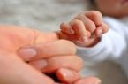 مدیرکل ثبت احوال خبر داد: ثبت سه هزار ۸۷۲ واقعه ولادت در ایلام