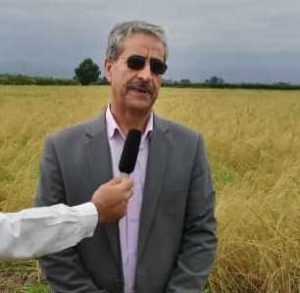 رئیس مؤسسه آموزش و ترویج کشاورزی خبر داد؛ فعالیت ۴.۳ میلیون بهره بردار کشاورزی در کشور