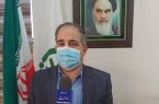 کود مورد نیاز کشاورزان ایلام توسط ۵۰ کارگزار توزیع می شود