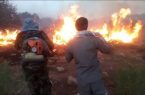 حریق منطقه حفاظت شده مانشت و قلارنگ ایلام مهار شد