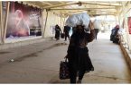 افزایش ۴۰ درصدی تردد بانوان در پیاده روی اربعین