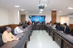 استفاده از ظرفیت همکاران هنرمند فرهنگی برای اجرای طرح شهید عجمیان در ایلام