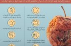 اینفوگرافیک / چند راه ساده برای رهایی از مسمومیت غذایی