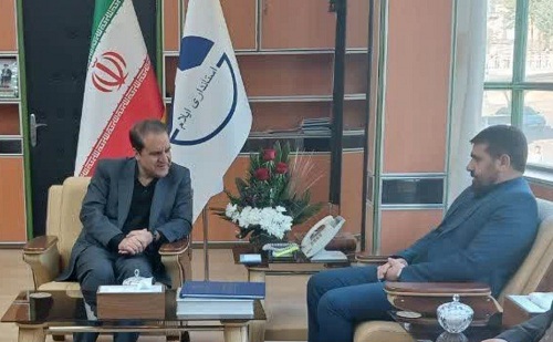 بازرسی در کنار دستگاههای اجرائی نقش مشاور امین ایفا می کند