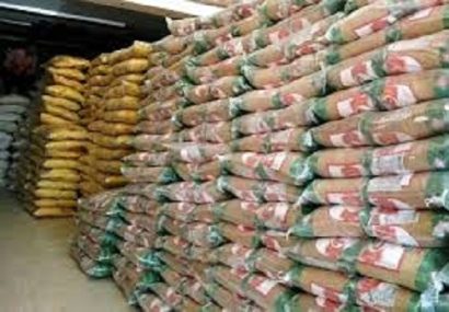 ۲ تُن برنج دولتی در شهرستان چوار توزیع شد